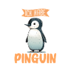 Pinguin Zwergpinguine Kaiserpinguin