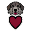 Dog love