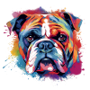 Bunte Bulldogge