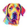 Bunter Labrador