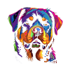 Farbenfroher Rottweiler