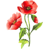 Blumen