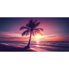 Beach Sunset