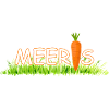 Meeri's guinea pig