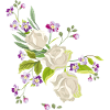Bouquet of roses