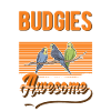 Because Budgies are freaking awesome Wellensittich