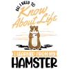 Hamster Geschenk Hamsterrad Goldhamster
