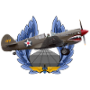 P-40