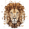 Lion pride, Discover our lion