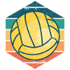 Volleyball Retro
