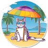 Beach cat