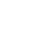 CHICKEN TERIYAKI