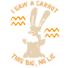 Funny Bunny Comic Joke