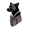 Cool dog