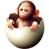 Singe de l’œuf