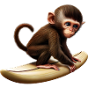 Surfer Affe