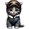 Aviator Cat Pilot Cat