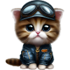 Aviator Cat Pilot Cat