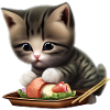 Sushi Lover Cat