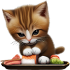 Sushi Lover Cat
