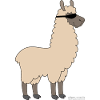 Lama