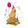 Capybara Birthday