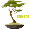 BONSAI Yamadori Bonsai Art