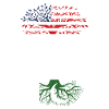 Né pakistanais américain