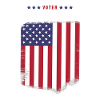 Voter Technologist