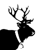 Reindeer