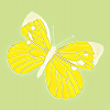 Schmetterling