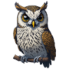 owl 1