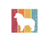 Australian Shepherd