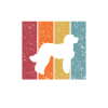 Aussiedoodle