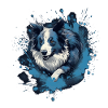 Border-collie Dock-Plongée dans l’eau