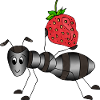 Ant
