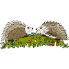 Hedgehogs