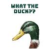 What the duck??
