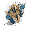 Golden-retriever Dock-Plongée dans l’eau