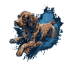 Irish-setter Dock-Diving into Water