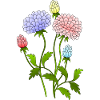 Blumen