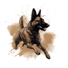 Belgian-malinois Dock-Diving into Water