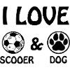 Fußball Football