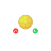 Handball