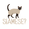 Siamesische Katze Geschenke