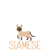 Siamese Cat Gifts