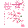 Sakura,Cherry Blossom,Dragon,Japan,Blossoms