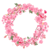 leer,blumen,blumenkranz,floral,kirschblüte