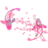 Sakura,Cherry Blossom,Blossoms,Cherry Blossom,Koi Carp