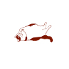 Fat Cat Obesity